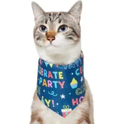 Frisco Celebration Dog & Cat Bandana 11 Frisco Celebration Dog & Cat Bandana -Pet Products Shop 315133 PT2. AC SS1800 V1646439780