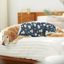 Disney Winnie The Pooh Nite Time Dog & Cat Pajama 13 Disney Winnie The Pooh Nite Time Dog & Cat Pajama -Pet Products Shop 316098 PT8. AC SS1800 V1646177678