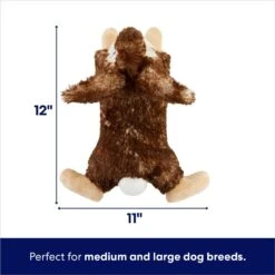 Frisco Realistic Rabbit Plush Squeaky Dog Toy -Pet Products Shop 316939 PT1. AC SS1800 V1695760927