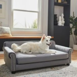 Frisco Sofa Pet Bed With Removable Cover & Frisco Eyelash Cat & Dog Blanket -Pet Products Shop 319504 PT4. AC SS1800 V1630625195