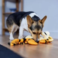 Disney Tigger Bungee Plush Squeaky Dog Toy 7 Disney Tigger Bungee Plush Squeaky Dog Toy -Pet Products Shop 328769 PT3. AC SS1800 V1657718551