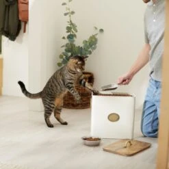 Frisco Premium Airtight Dog & Cat Food Storage Canister With Scoop 10 Frisco Premium Airtight Dog & Cat Food Storage Canister With Scoop -Pet Products Shop 331486 PT3. AC SS1800 V1657656891