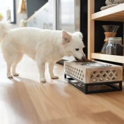 Frisco Premium Wood Elevated Stainless Steel Double Diner Dog & Cat Bowl, 3 Cup -Pet Products Shop 331507 PT2. AC SS1800 V1657656894