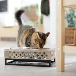 Frisco Premium Wood Elevated Stainless Steel Double Diner Dog & Cat Bowl, 3 Cup -Pet Products Shop 331507 PT3. AC SS1800 V1657656894