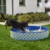 Frisco Outdoor Dog Swimming Pool, Rubber Ducky 1 Frisco Outdoor Dog Swimming Pool, Rubber Ducky -Pet Products Shop 331660 MAIN. AC SS1800 V1646178232