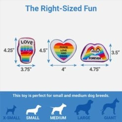 Frisco Pride Rainbow Hide & Seek Puzzle Plush Squeaky Dog Toy -Pet Products Shop 331673 PT2. AC SS1800 V1649785282