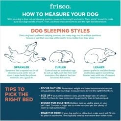 Frisco Avocado Cat & Dog Bed 11 Frisco Avocado Cat & Dog Bed -Pet Products Shop 333856 PT3. AC SS1800 V1658716782