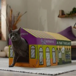 Frisco Halloween A-Paw-Thecary & Chop House Cardboard Cat House With Catnip -Pet Products Shop 344002 PT3. AC SS1800 V1657657029