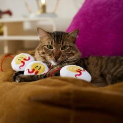 Frisco Halloween Haunted Deviled Eggs Plush Cat Toy With Catnip 8 Frisco Halloween Haunted Deviled Eggs Plush Cat Toy With Catnip -Pet Products Shop 344058 PT3. AC SS1800 V1657657030