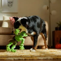 Frisco Halloween Goblin Plush With Rope Squeaky Dog Toy -Pet Products Shop 344132 PT3. AC SS1800 V1657657042