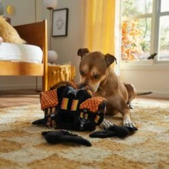 Frisco Halloween Haunted House Hide & Seek Puzzle Plush Squeaky Dog Toy 11 Frisco Halloween Haunted House Hide & Seek Puzzle Plush Squeaky Dog Toy -Pet Products Shop 344136 PT3. AC SS1800 V1657657042