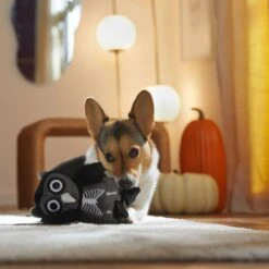 Frisco Halloween Spooky Owl Plush Squeaky Dog Toy 9 Frisco Halloween Spooky Owl Plush Squeaky Dog Toy -Pet Products Shop 344162 PT3. AC SS1800 V1657657049