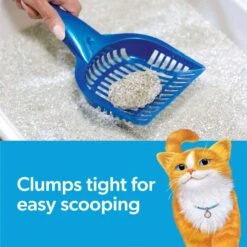 Fresh Step Febreze Freshness Gain Scented Clumping Clay Cat Litter 13 Fresh Step Febreze Freshness Gain Scented Clumping Clay Cat Litter -Pet Products Shop 346442 PT2. AC SS1800 V1694463360