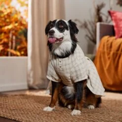 Frisco Tweed Weave Ruffle Skirt Dog & Cat Dress -Pet Products Shop 353649 PT6. AC SS1800 V1660750168