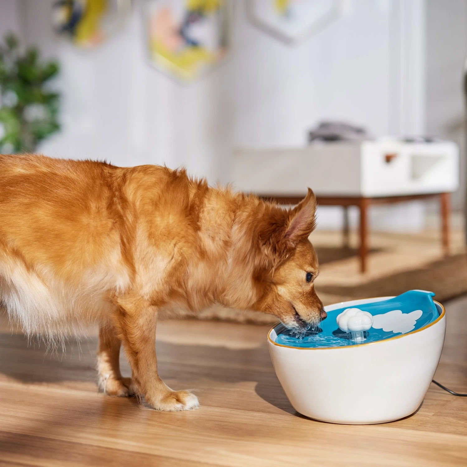 Frisco Ceramic Clouds Dog & Cat Fountain 7 Frisco Ceramic Clouds Dog & Cat Fountain - Image 5