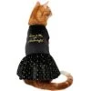 Frisco Kiss Me At Midnight Dog & Cat Dress -Pet Products Shop 358044 MAIN. AC SS1800 V1660745164