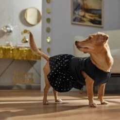 Frisco Kiss Me At Midnight Dog & Cat Dress -Pet Products Shop 358044 PT7. AC SS1800 V1661799831