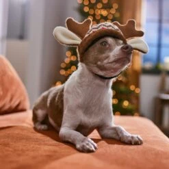 Frisco Antler Fair Isle Dog & Cat Hat 12 Frisco Antler Fair Isle Dog & Cat Hat -Pet Products Shop 358313 PT4. AC SS1800 V1661798696