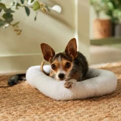 Pet Products Shop 38 Frisco Adjustable Electrical Dog & Cat Heated Crate Mat With Timer