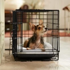 Frisco Adjustable Electrical Dog & Cat Heated Crate Mat With Timer 14 Frisco Adjustable Electrical Dog & Cat Heated Crate Mat With Timer -Pet Products Shop 358546 PT5. AC SS1800 V1662500981