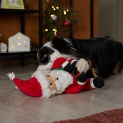 Frisco Holiday Santa Claus Plush Squeaky Dog Toy 9 Frisco Holiday Santa Claus Plush Squeaky Dog Toy -Pet Products Shop 360914 PT3. AC SS1800 V1661874178