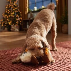 Frisco Holiday Festive Owl Plush Squeaky Dog Toy 8 Frisco Holiday Festive Owl Plush Squeaky Dog Toy -Pet Products Shop 360919 PT3. AC SS1800 V1661874361