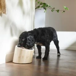 Frisco Elevated Slanted Bamboo Melamine Non-Skid Dog Bowl With Bamboo Stand -Pet Products Shop 363387 PT2. AC SS1800 V1657657267
