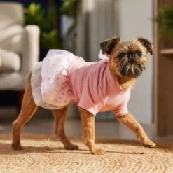 Frisco Tulle Hearts Dog & Cat Dress -Pet Products Shop 371070 PT8. AC SS1800 V1700690505