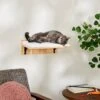 Frisco Cushioned Wall Mounted Cat Wall Shelf -Pet Products Shop 373443 MAIN. AC SS1800 V1673025637
