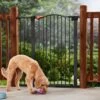 Frisco Outdoor Steel Arch Extra Tall Auto-Close Dog Gate 2 Frisco Outdoor Steel Arch Extra Tall Auto-Close Dog Gate -Pet Products Shop 507102 MAIN. AC SS1800 V1668736255