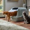 Frisco Mega Deluxe Litter Box 2 Frisco Mega Deluxe Litter Box -Pet Products Shop 526526 MAIN. AC SS1800 V1659623787