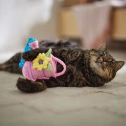 Frisco Spring Watering Can Plush Cat Toy With Catnip -Pet Products Shop 541558 PT3. AC SS1800 V1671814448