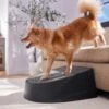 Frisco Plastic Easy Step Cat & Dog Stair -Pet Products Shop 542390 MAIN. AC SS1800 V1671829661