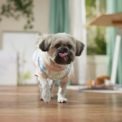 Frisco Vintage Tropical Dog & Cat Pocket T-Shirt -Pet Products Shop 556598 PT5. AC SS1800 V1675101997