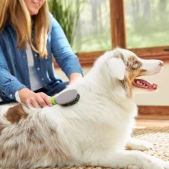 TropiClean Luxury 2 In 1 Papaya & Coconut Pet Shampoo & Conditioner & Frisco Cat & Dog Bristle Brush -Pet Products Shop 575094 PT7. AC SS1800 V1657660395