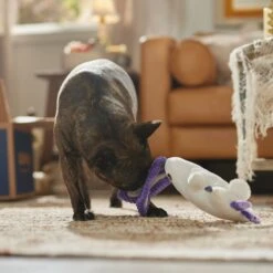 Frisco Halloween Bunny Ghost Plush Squeaky Dog Toy -Pet Products Shop 667878 PT3. AC SS1800 V1689340856