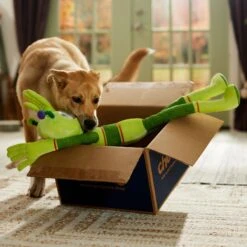 Frisco Halloween Alien Wagazoo Plush Squeaky Dog Toy, Extra Long -Pet Products Shop 668134 PT3. AC SS1800 V1689282428