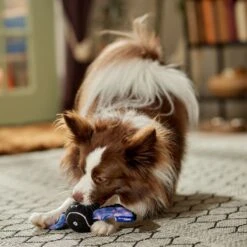 Frisco Halloween Bat Fetch Squeaky Tennis Ball Dog Toy 10 Frisco Halloween Bat Fetch Squeaky Tennis Ball Dog Toy -Pet Products Shop 668278 PT3. AC SS1800 V1689350166