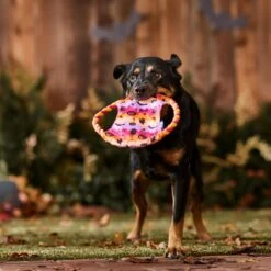 Frisco Halloween Ghost Swirl Fetch Flyer Dog Toy 8 Frisco Halloween Ghost Swirl Fetch Flyer Dog Toy -Pet Products Shop 668294 PT3. AC SS1800 V1689278363