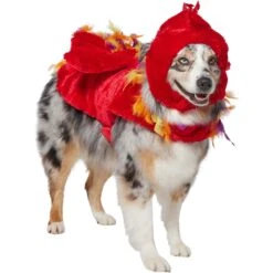 Frisco Flying Phoenix Dog & Cat Costume 12 Frisco Flying Phoenix Dog & Cat Costume -Pet Products Shop 708150 PT3. AC SS1800 V1691084928