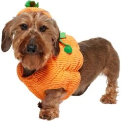 Frisco Pumpkin Ball Dog & Cat Costume 12 Frisco Pumpkin Ball Dog & Cat Costume -Pet Products Shop 708902 PT2. AC SS1800 V1689351041