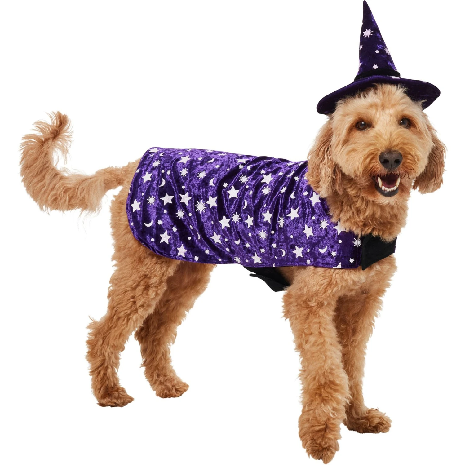 Frisco Cosmic Witch Dog & Cat Costume 3 Frisco Cosmic Witch Dog & Cat Costume