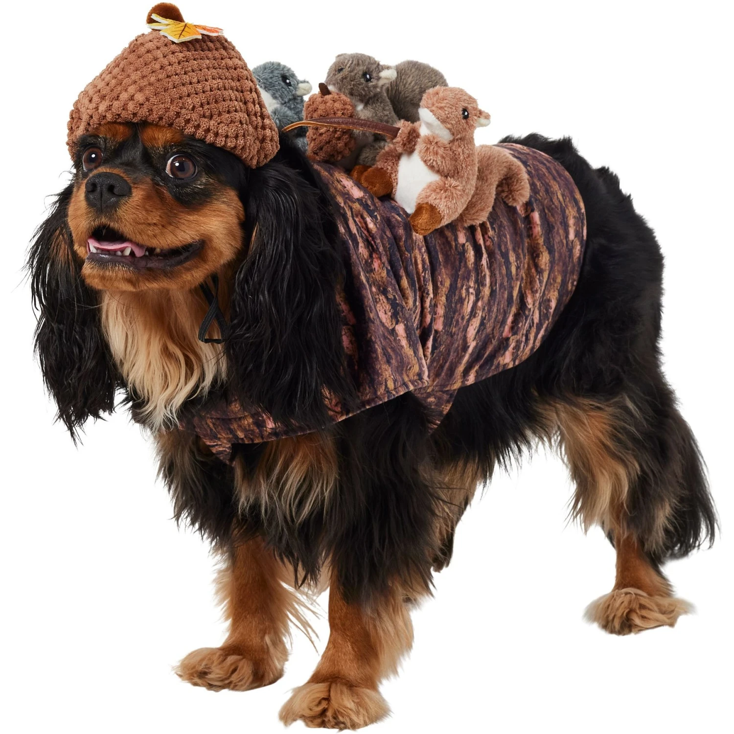 Frisco Squirrels & Nuts Ride-On Dog & Cat Costume 3 Frisco Squirrels & Nuts Ride-On Dog & Cat Costume