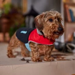 Frisco Medium Weight Retro Colorblock Mixed Media Dog & Cat Coat 18 Frisco Medium Weight Retro Colorblock Mixed Media Dog & Cat Coat -Pet Products Shop 719462 PT7. AC SS1800 V1692379031