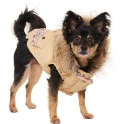 Frisco Heavy Weight Matte Quilted Dog & Cat Parka With Cozy Fleece Lining 13 Frisco Heavy Weight Matte Quilted Dog & Cat Parka With Cozy Fleece Lining -Pet Products Shop 719654 PT2. AC SS1800 V1703184629