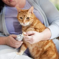 Rechargeable Cordless Cat & Dog 3-Speed Nail Grinder, White -Pet Products Shop 729774 PT5. AC SS1800 V1683147135