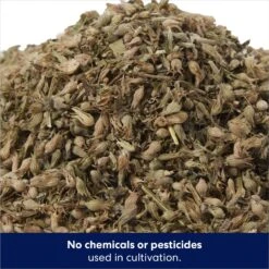 Frisco Natural Catnip & Hartz Cattraction Silver Vine & Catnip Gator Cat Scratcher Toy, Color Varies -Pet Products Shop 737470 PT3. AC SS1800 V1683212146