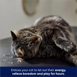 Frisco Natural Catnip & Hartz Cattraction Silver Vine & Catnip Gator Cat Scratcher Toy, Color Varies -Pet Products Shop 737470 PT4. AC SS1800 V1683212147