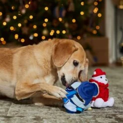 Frisco Holiday Arctic Buddies 2-in-1 Rip For Surprise Plush & Rubber Dog Toy 11 Frisco Holiday Arctic Buddies 2-in-1 Rip For Surprise Plush & Rubber Dog Toy -Pet Products Shop 739718 PT3. AC SS1800 V1694812848