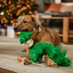 Frisco Holiday Elf In A Tree Bungee Plush Squeaky Dog Toy 11 Frisco Holiday Elf In A Tree Bungee Plush Squeaky Dog Toy -Pet Products Shop 739846 PT3. AC SS1800 V1695047600